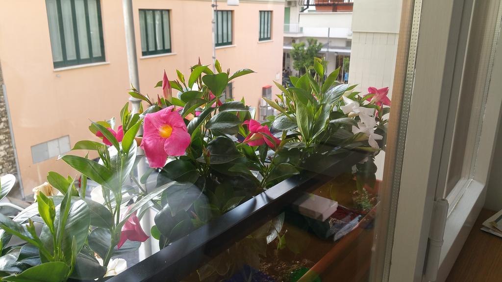 B&B Veru Sorrento Kültér fotó